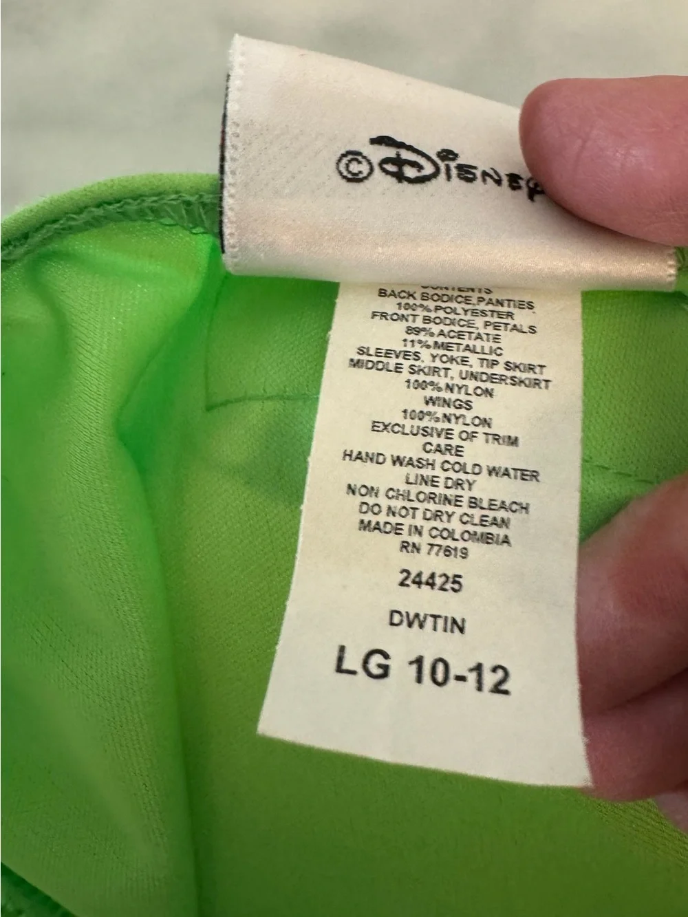 Disney costume